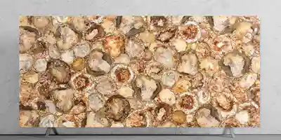 Brown Petrified Wood Slab for interiors